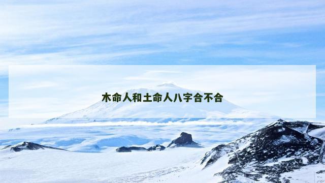 木命人和土命人八字合不合
