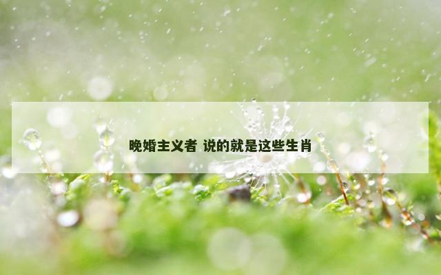 晚婚主义者 说的就是这些生肖