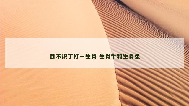 目不识丁打一生肖 生肖牛和生肖兔