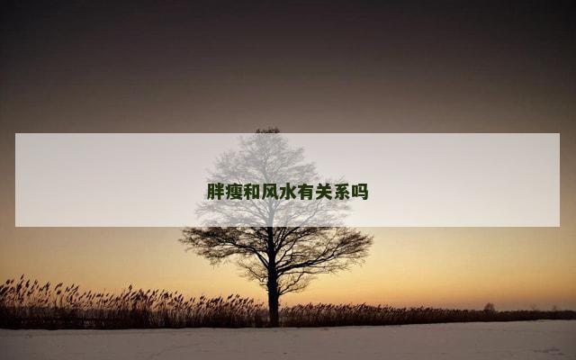 胖瘦和风水有关系吗