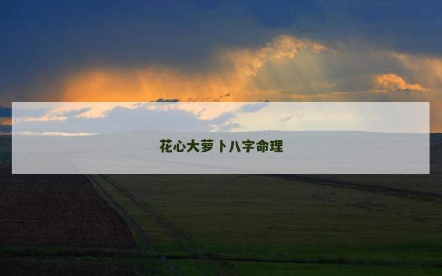 花心大萝卜八字命理