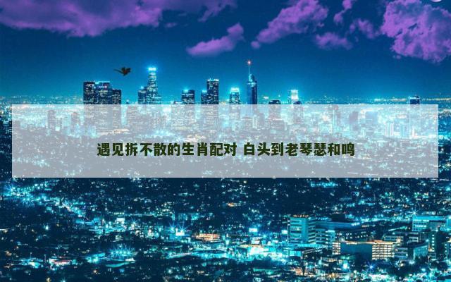 遇见拆不散的生肖配对 白头到老琴瑟和鸣