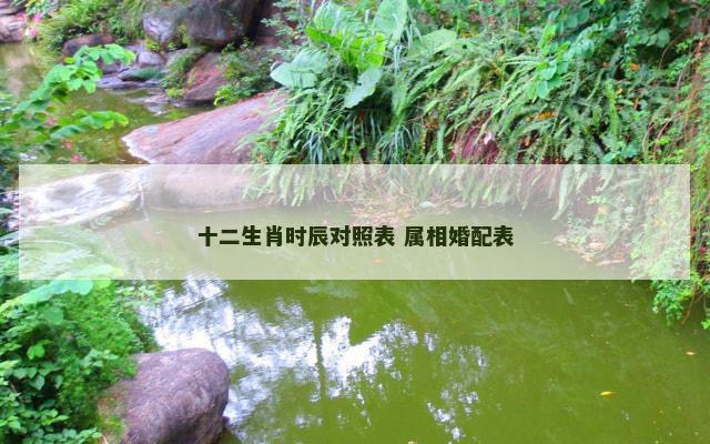 十二生肖时辰对照表 属相婚配表