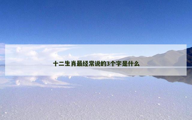 十二生肖最经常说的3个字是什么