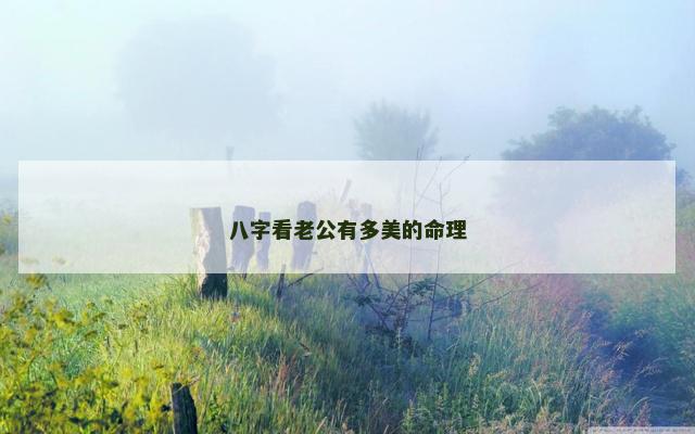 八字看老公有多美的命理