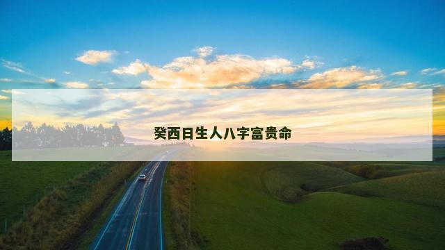 癸西日生人八字富贵命