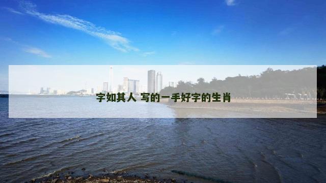 字如其人 写的一手好字的生肖