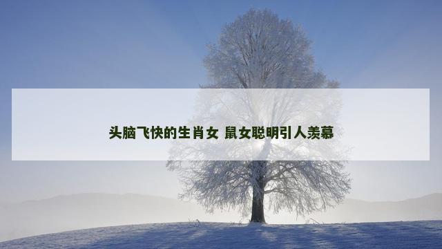 头脑飞快的生肖女 鼠女聪明引人羡慕