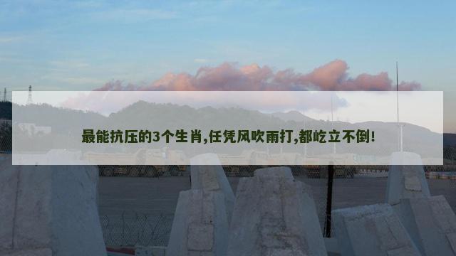 最能抗压的3个生肖,任凭风吹雨打,都屹立不倒！