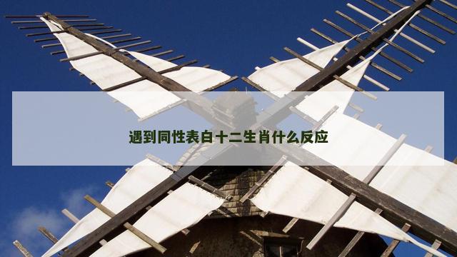 遇到同性表白十二生肖什么反应