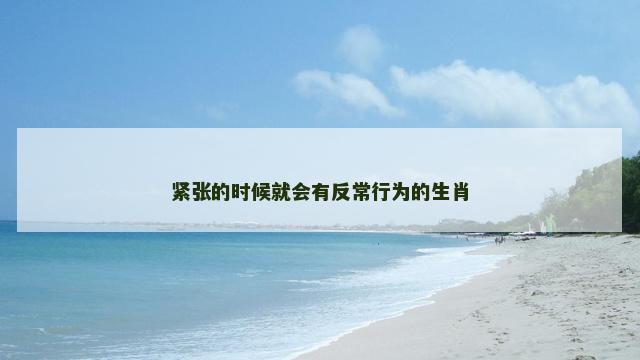 紧张的时候就会有反常行为的生肖