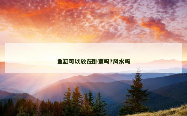 鱼缸可以放在卧室吗?风水吗