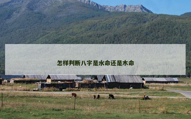 怎样判断八字是水命还是木命