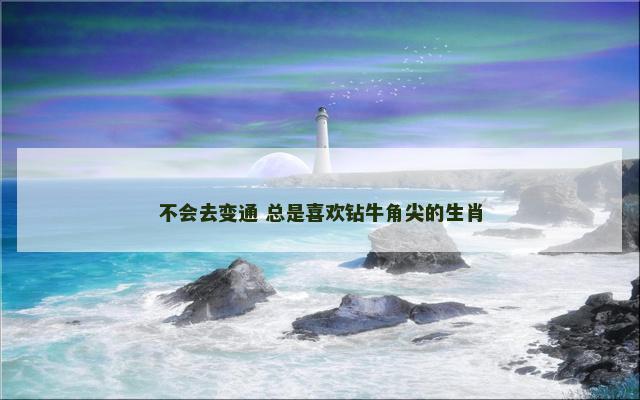 不会去变通 总是喜欢钻牛角尖的生肖