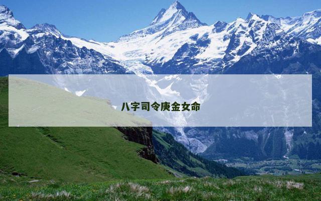 八字司令庚金女命
