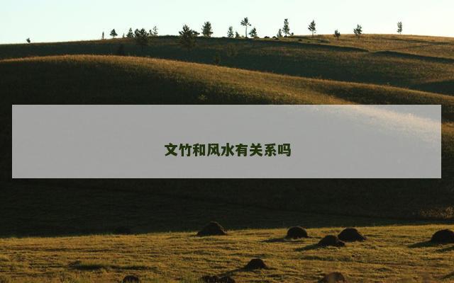 文竹和风水有关系吗