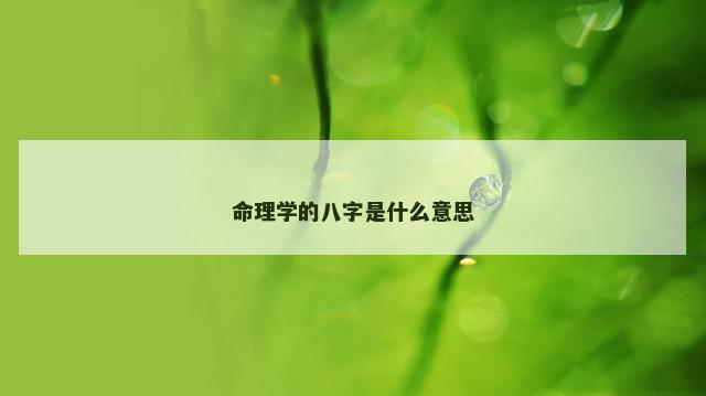 命理学的八字是什么意思