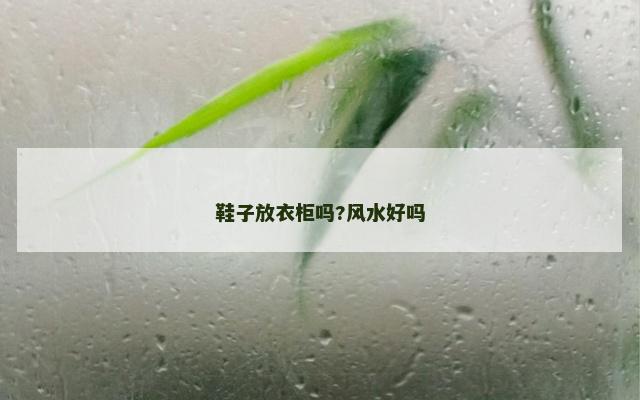 鞋子放衣柜吗?风水好吗