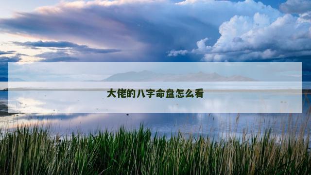 大佬的八字命盘怎么看