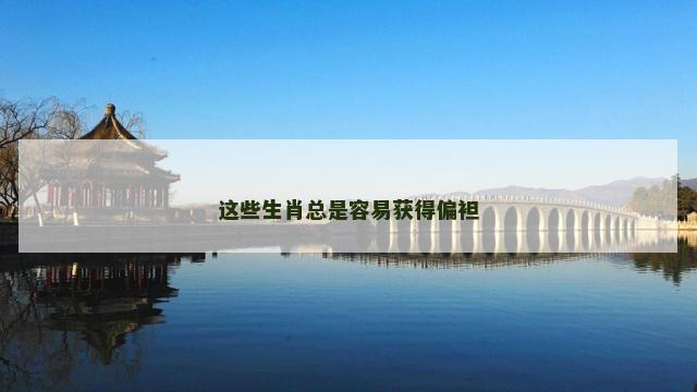 这些生肖总是容易获得偏袒