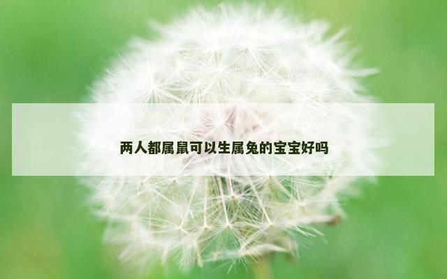 两人都属鼠可以生属兔的宝宝好吗