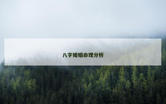 八字婚姻命理分析
