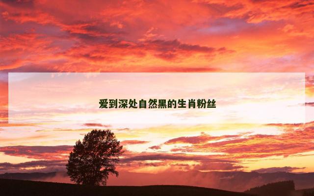 爱到深处自然黑的生肖粉丝