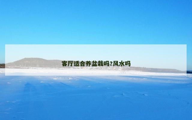 客厅适合养盆栽吗?风水吗