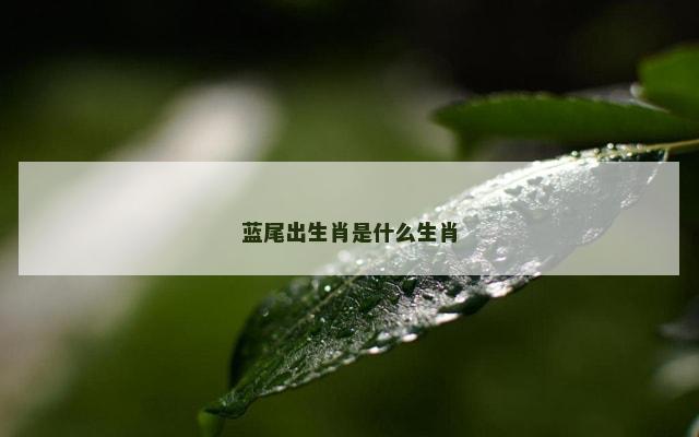 蓝尾出生肖是什么生肖