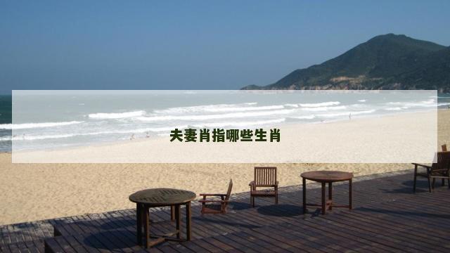 夫妻肖指哪些生肖