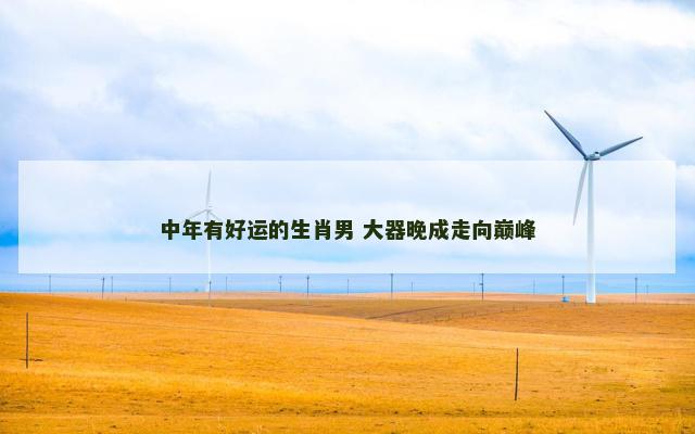 中年有好运的生肖男 大器晚成走向巅峰