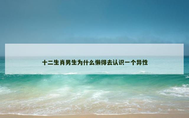 十二生肖男生为什么懒得去认识一个异性