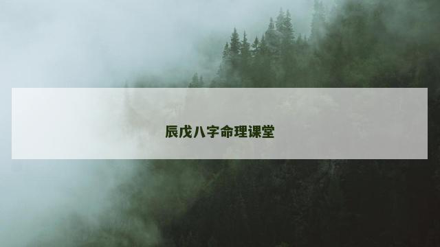辰戊八字命理课堂