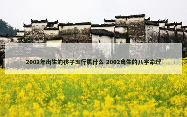 2002年出生的孩子五行属什么 2002出生的八字命理