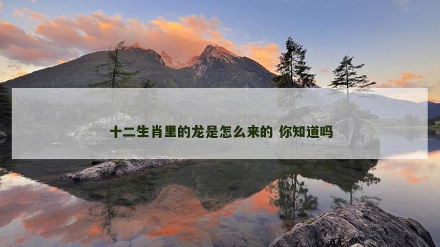 十二生肖里的龙是怎么来的 你知道吗