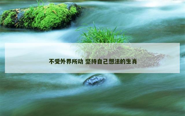 不受外界所动 坚持自己想法的生肖