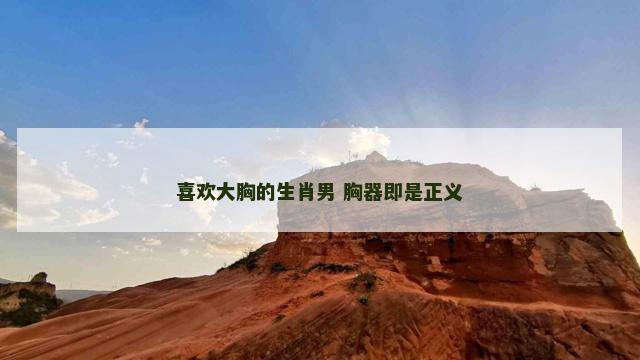 喜欢大胸的生肖男 胸器即是正义