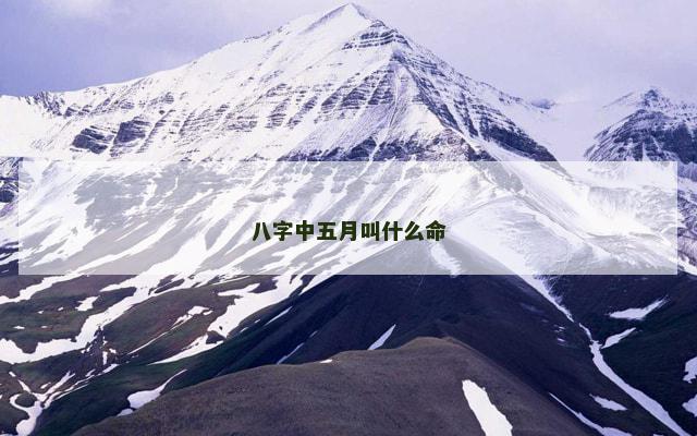 八字中五月叫什么命