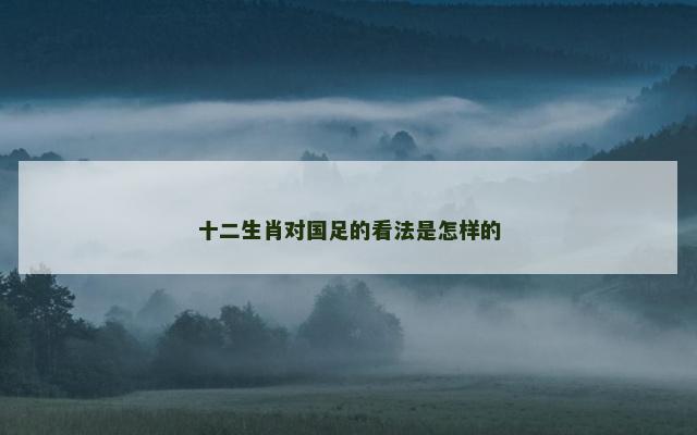 十二生肖对国足的看法是怎样的