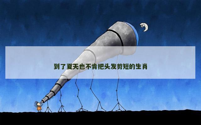 到了夏天也不肯把头发剪短的生肖