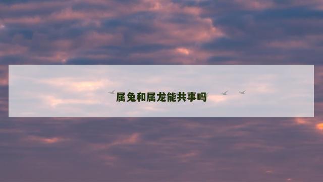 属兔和属龙能共事吗