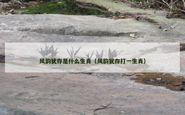 风韵犹存是什么生肖（风韵犹存打一生肖）