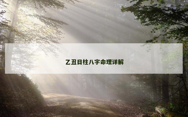 乙丑日柱八字命理详解