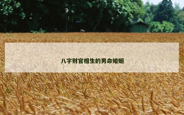 八字财官相生的男命婚姻