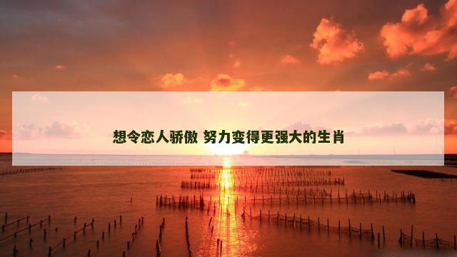 想令恋人骄傲 努力变得更强大的生肖
