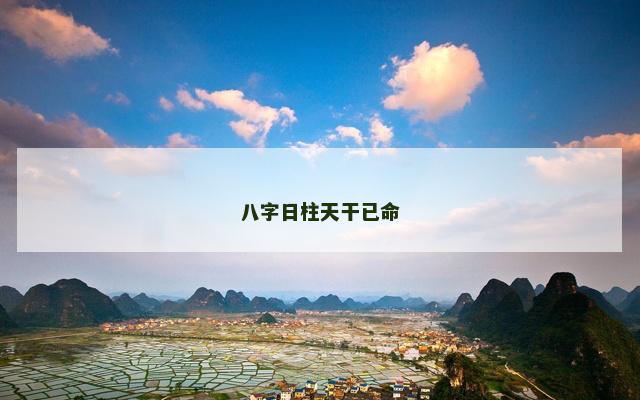 八字日柱天干已命