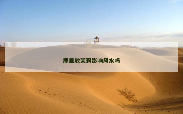 屋里放茉莉影响风水吗