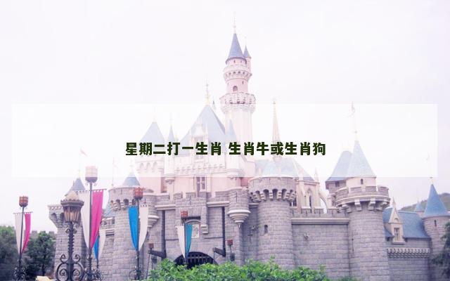 星期二打一生肖 生肖牛或生肖狗