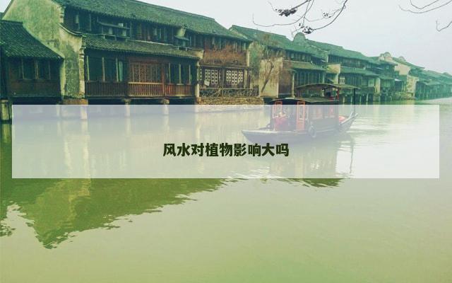 风水对植物影响大吗