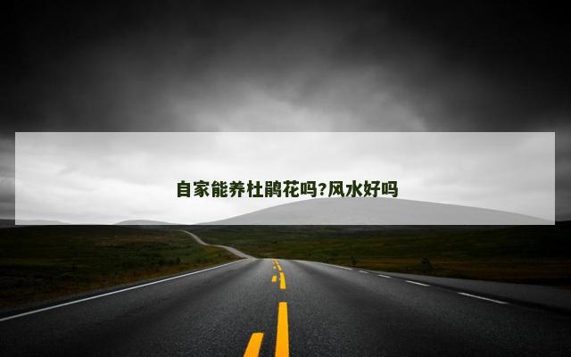 自家能养杜鹃花吗?风水好吗